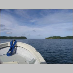 palau-001.jpg