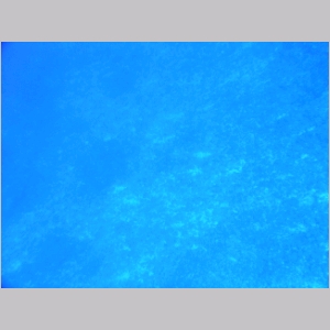 060501(2)-TinianFleming-03.jpg